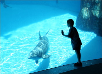 SeaWorld San Diego